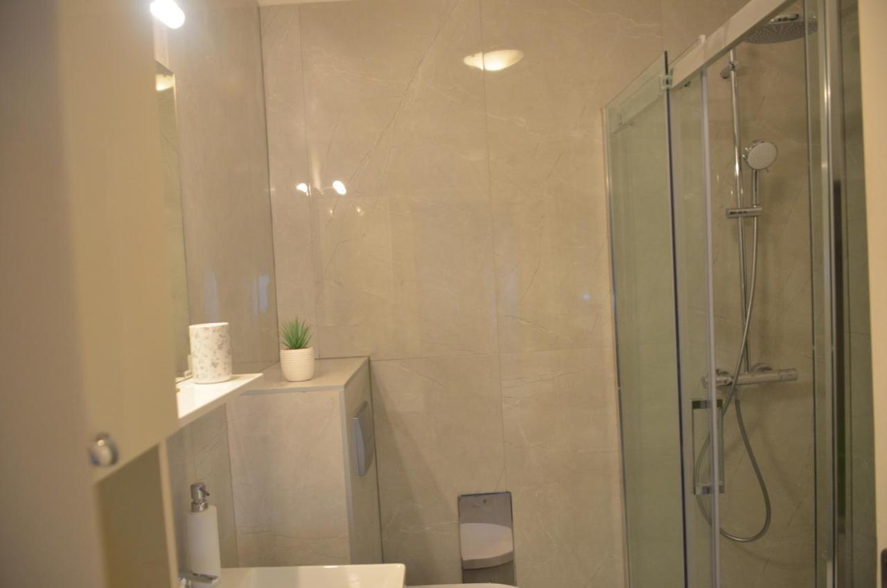 Apartment Babic Rijeka Dış mekan fotoğraf